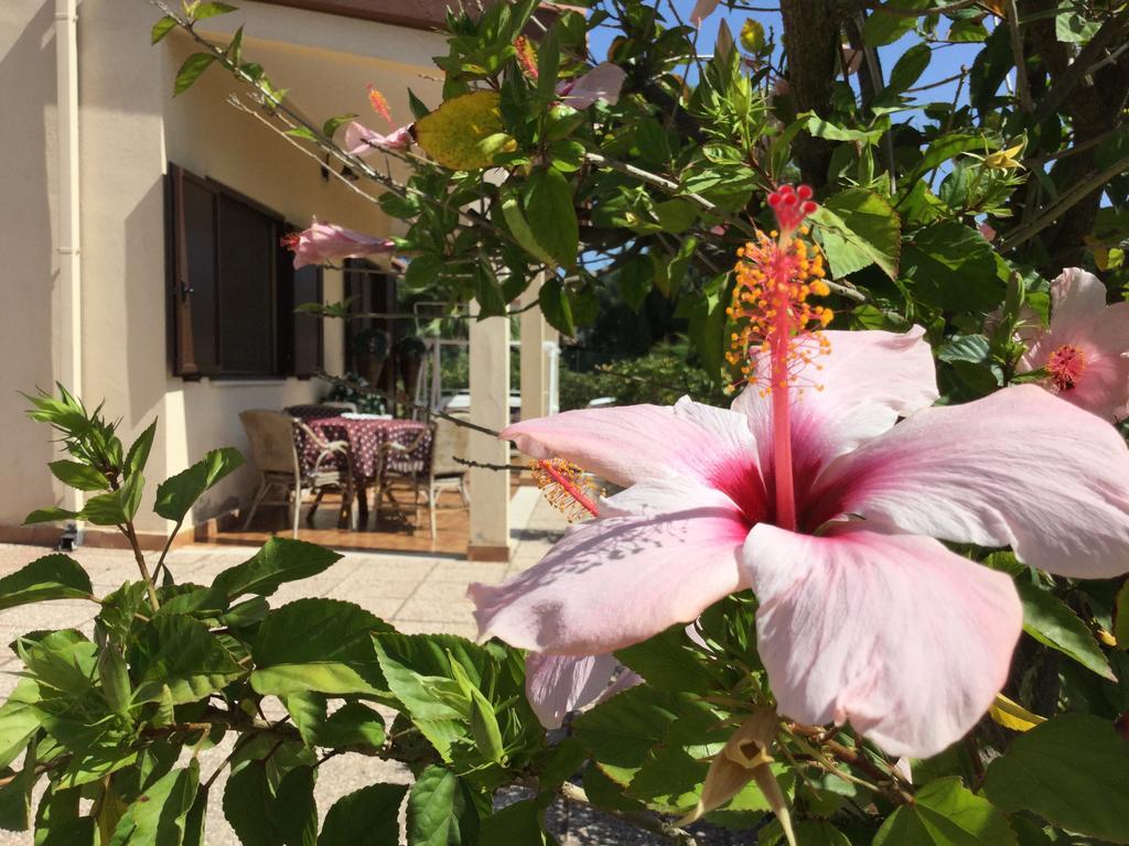 Villa Ro Porto Columbu - Perd'E Sali Exteriör bild
