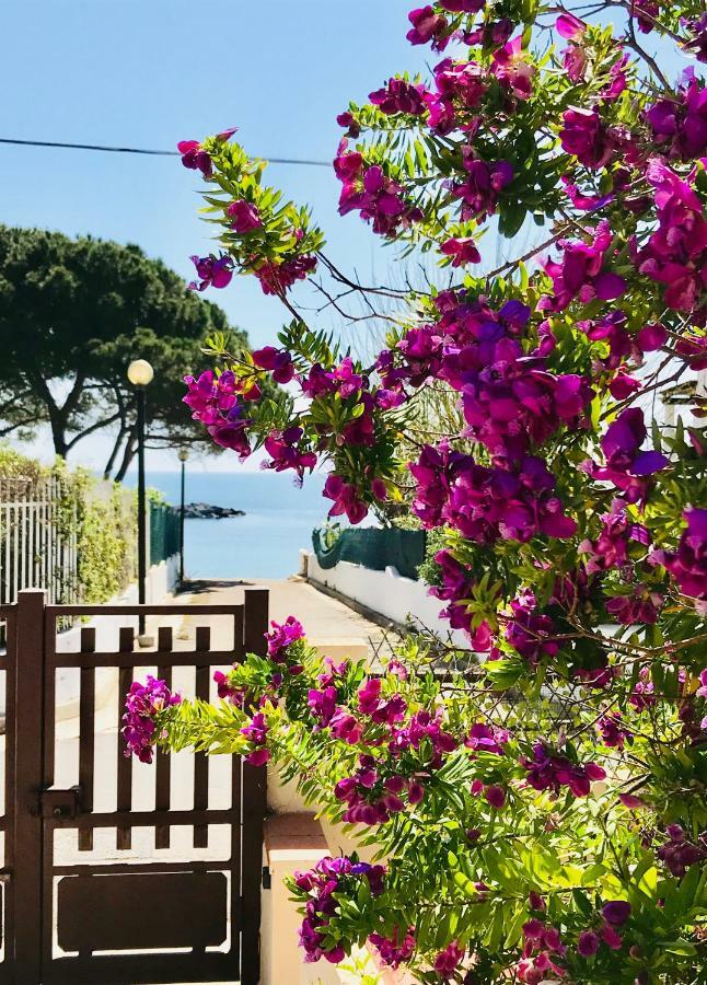 Villa Ro Porto Columbu - Perd'E Sali Exteriör bild